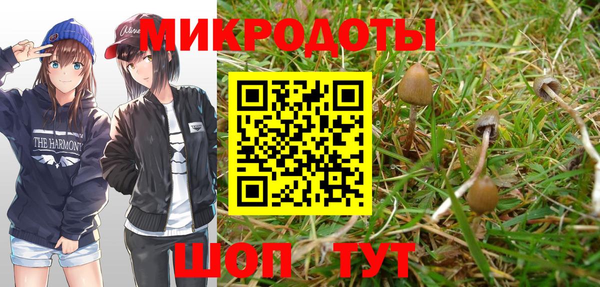 Галлюциногенные грибы прущие грибы Можга