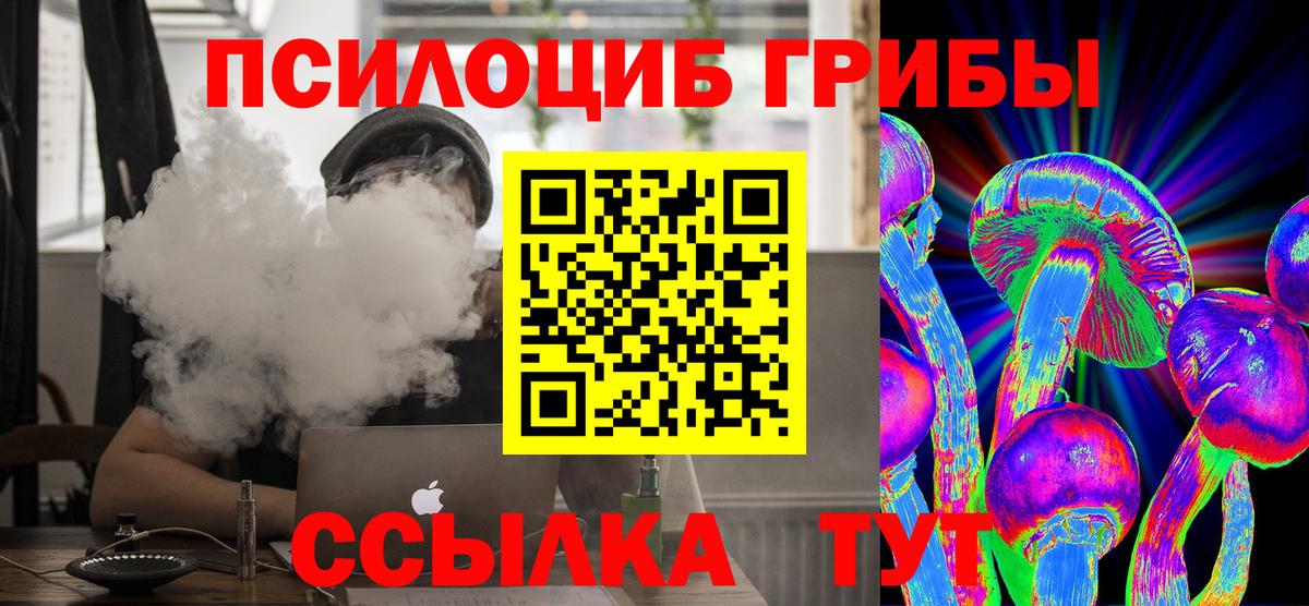 Галлюциногенные грибы MAGIC MUSHROOMS  как найти закладки  Можга  Вход с VPN 